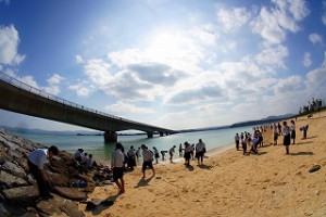 DSC00426 (1)
