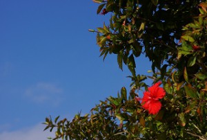 DSC00436